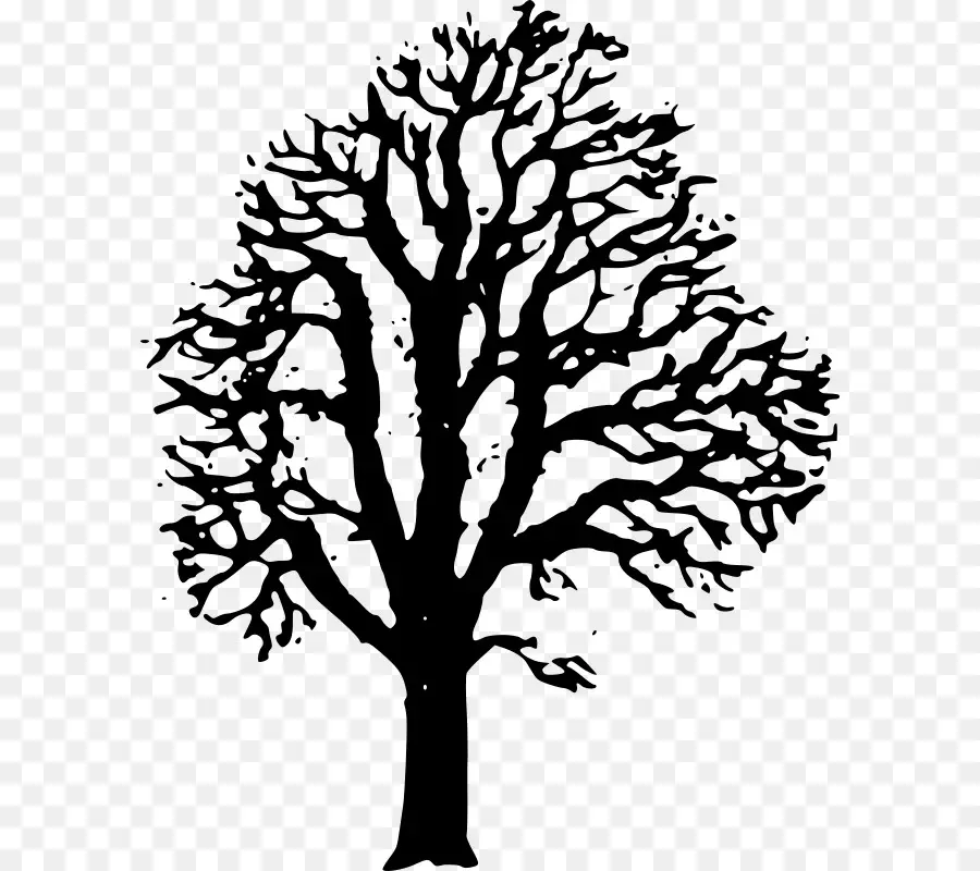 La Castaña，árbol PNG