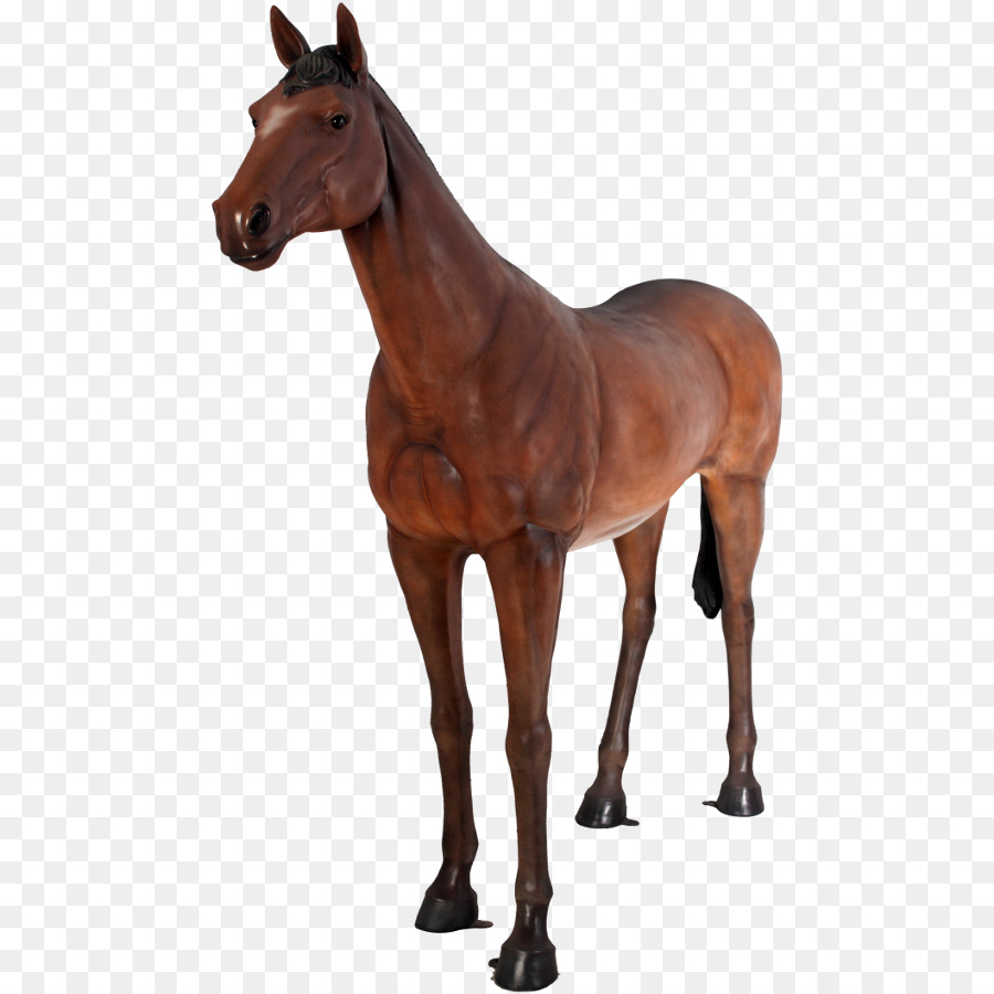 Estatua Ecuestre，American Quarter Horse PNG