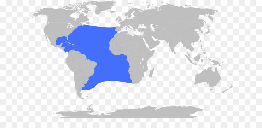 Mapa Del Mundo，Mundo PNG