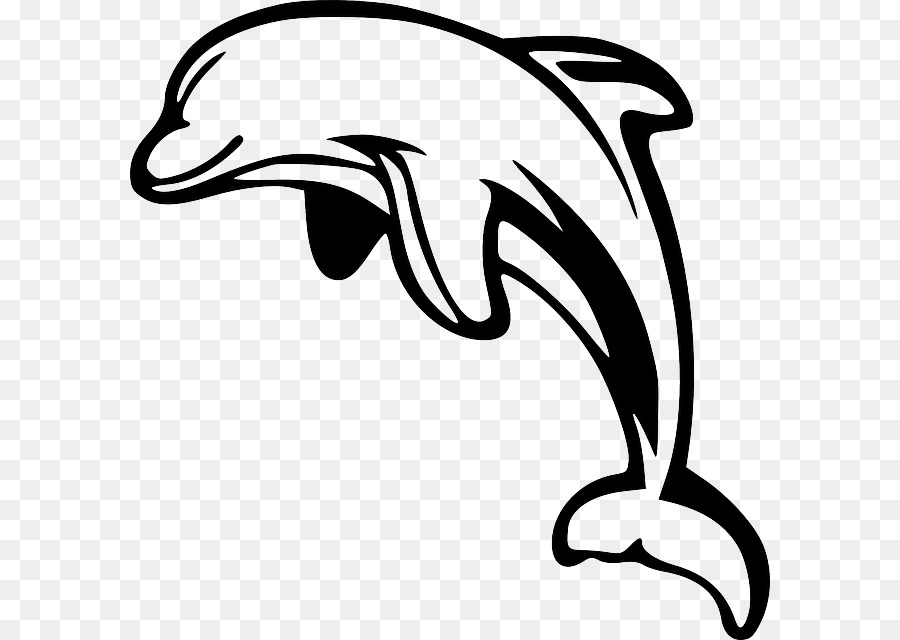 Dolphin，El Delfín Nariz De Botella PNG