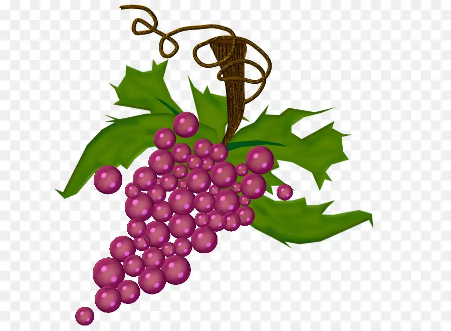 Uvas，Enredadera PNG