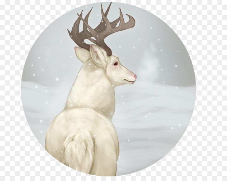 Deer，Reindeer PNG