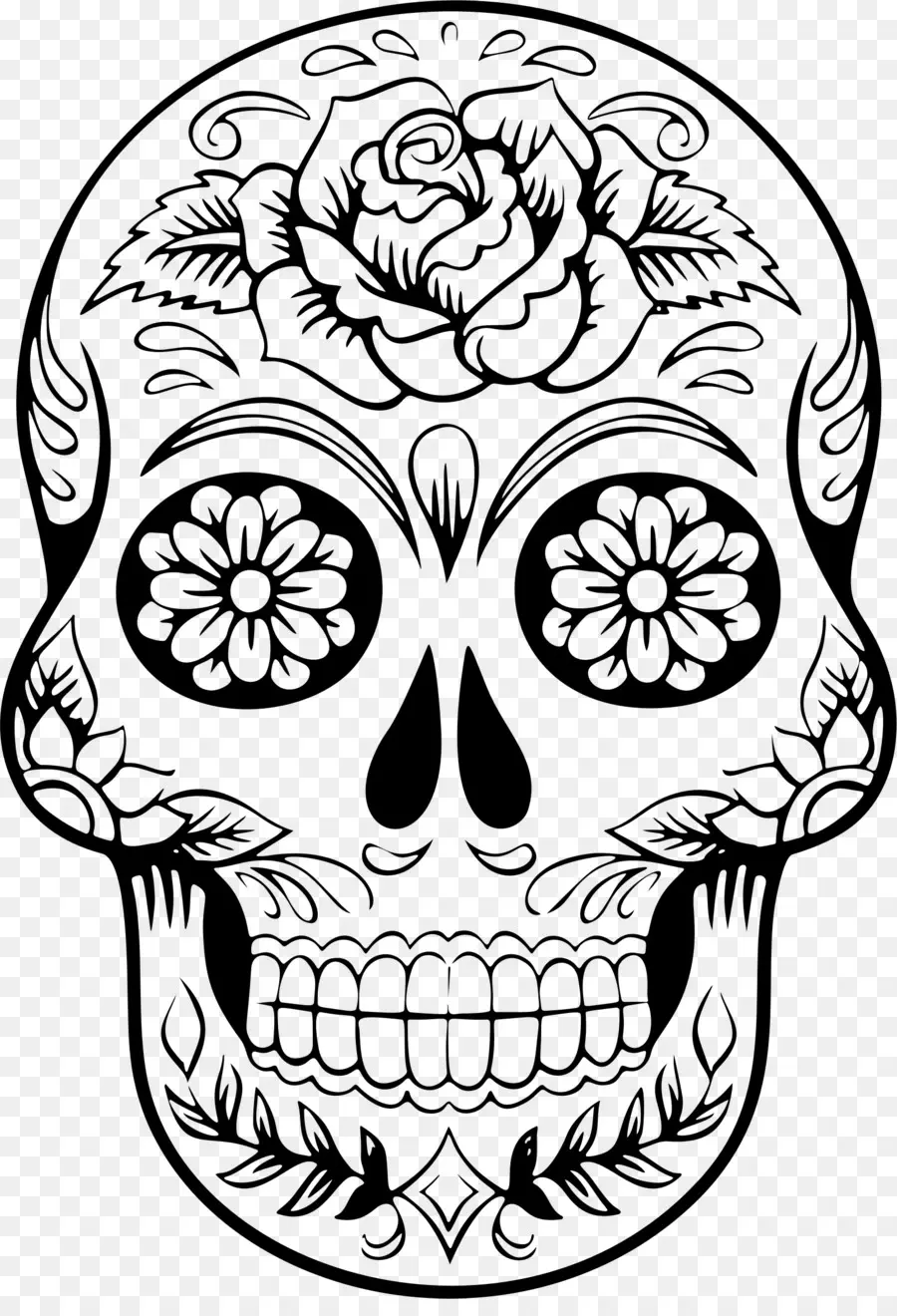 Calavera，Cráneo PNG