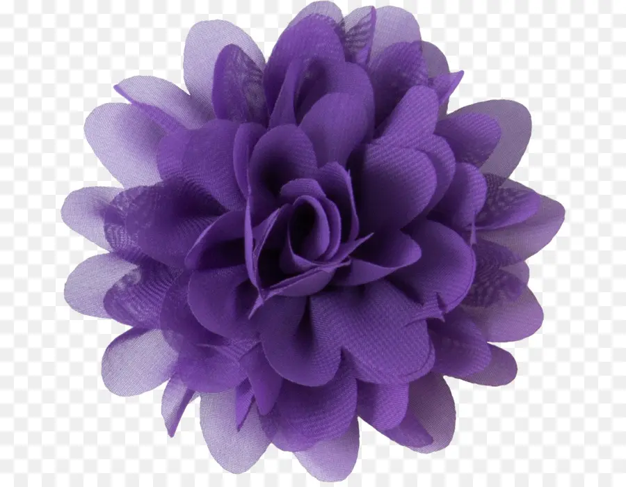 Púrpura，Flor PNG