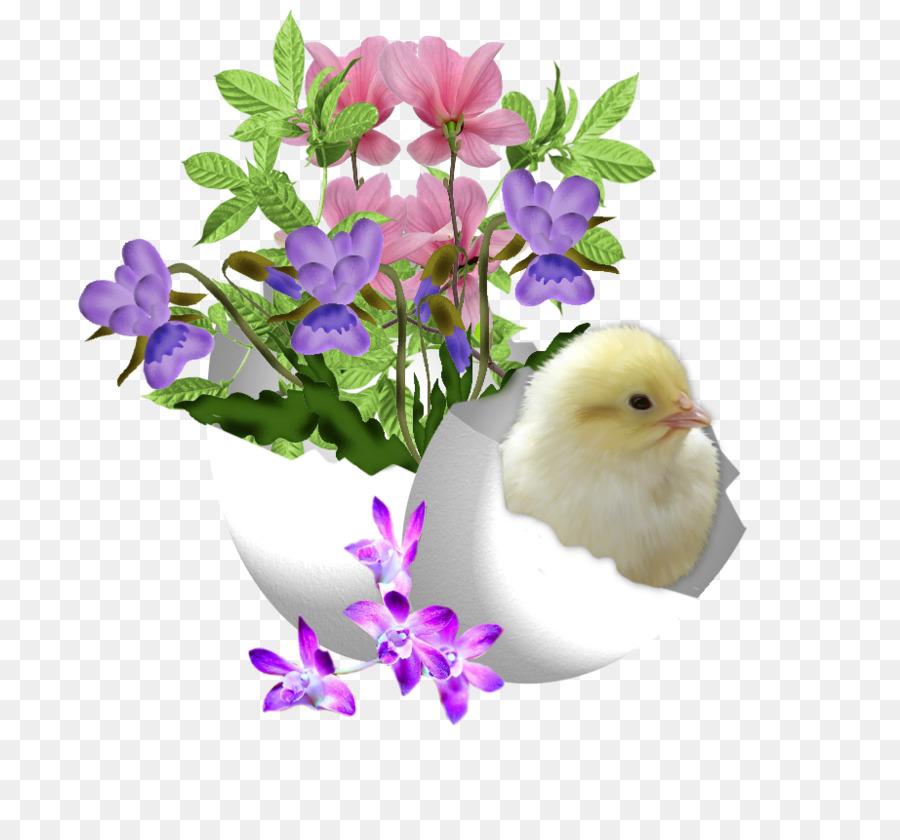 Pascua，Huevo De Pascua PNG