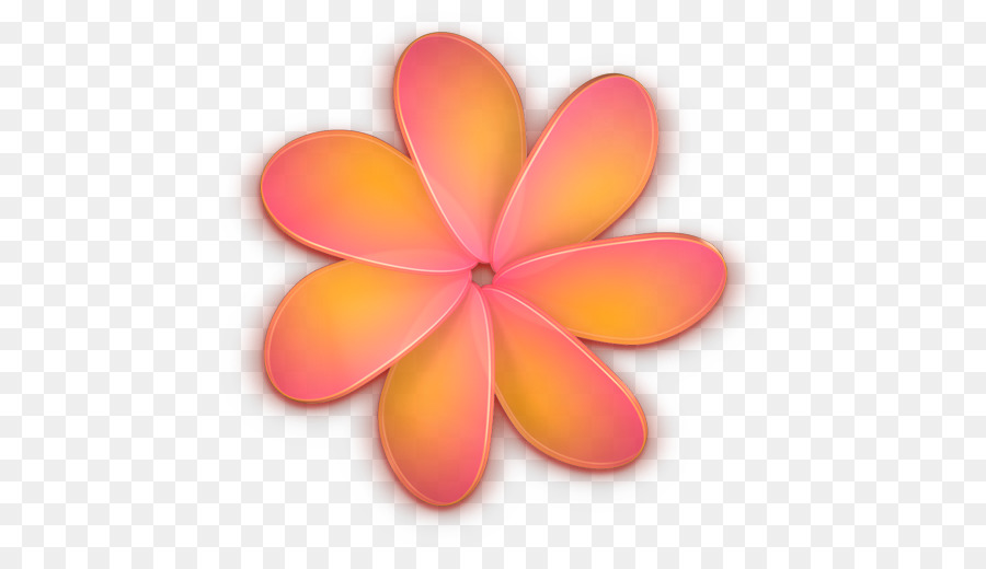 Flor，Pétalos PNG