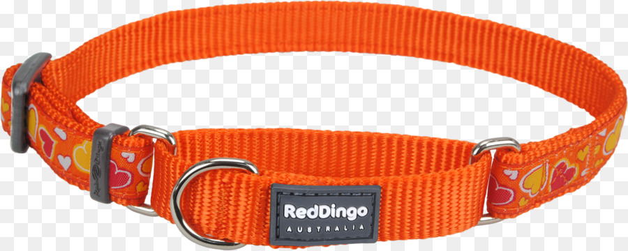 Collar De Perro，Martingala PNG