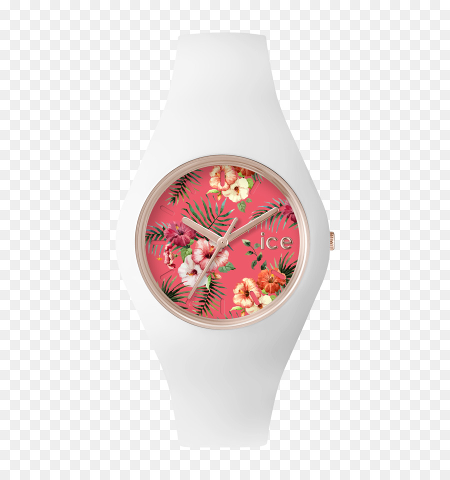 Ice Watch，Reloj PNG