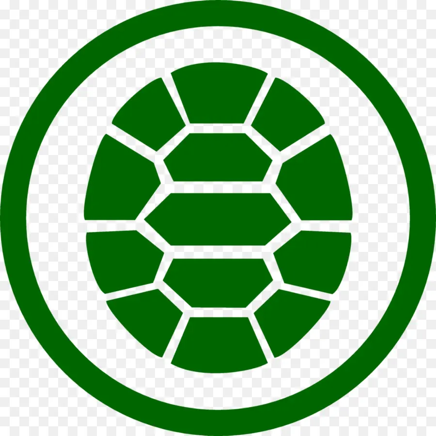 Caparazón De Tortuga，Animal PNG