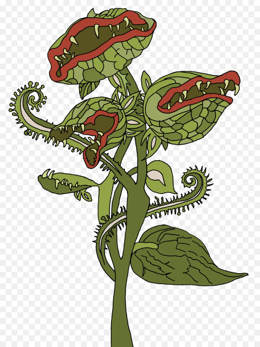 Planta，Planta Carnívora PNG