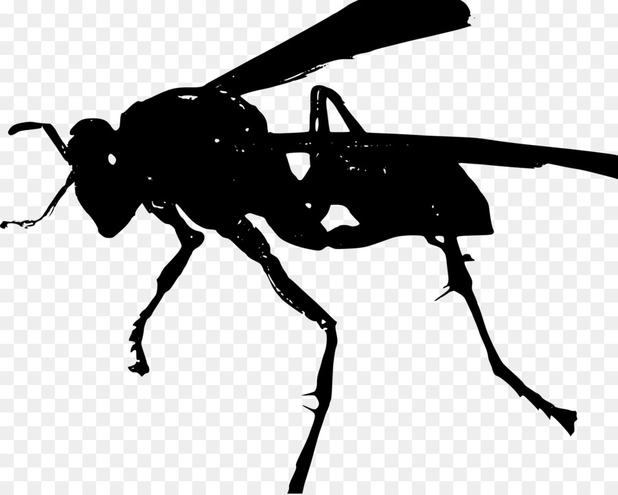 Los Insectos，Soluciones Modernas PNG