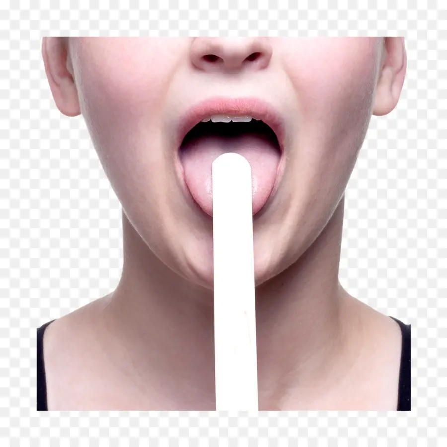 Depresor De Lengua，La Lengua PNG