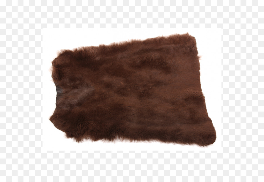 Piel，Brown PNG