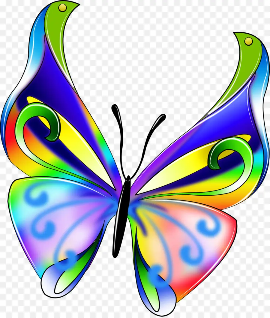 Mariposa，Vistoso PNG