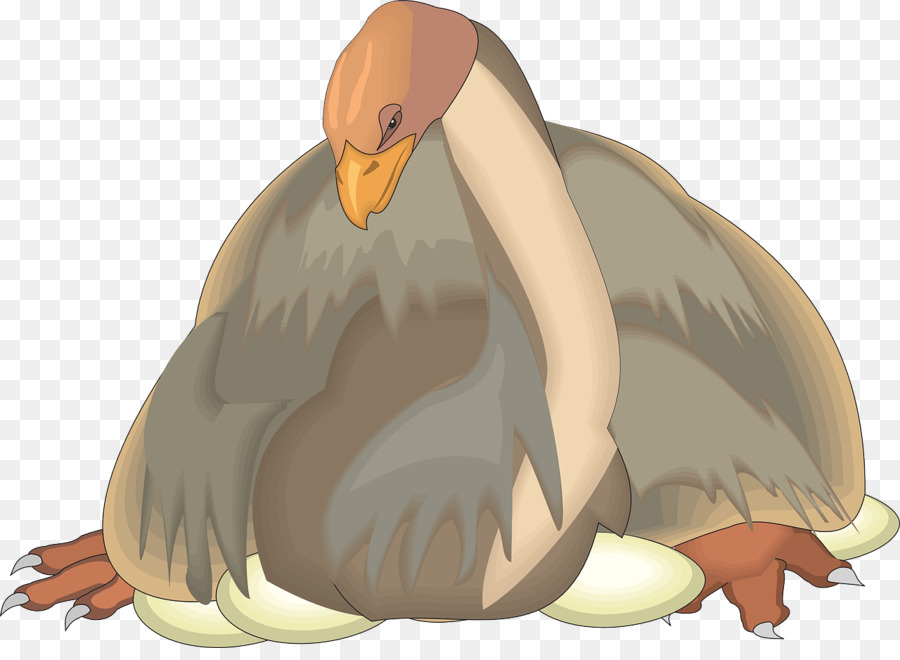 Pájaro，Pato PNG