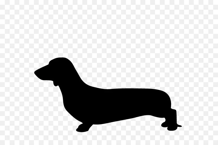 Dachshund，Cachorro PNG