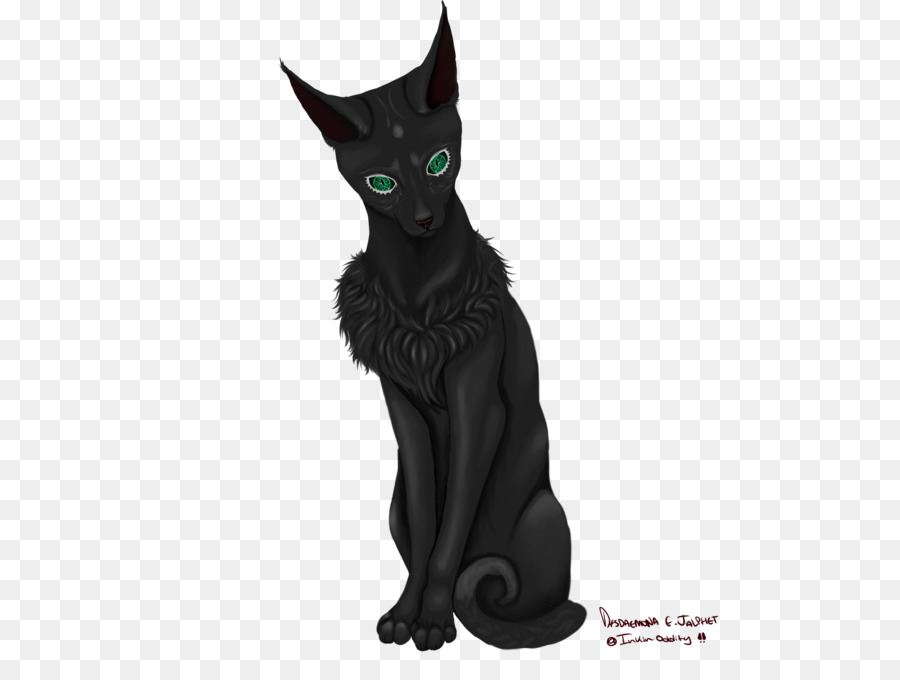 Gato De Bombay，Gato Negro PNG