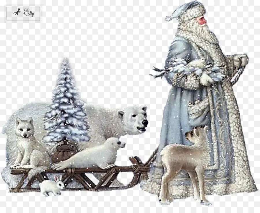 Ded Moroz，Santa Claus PNG