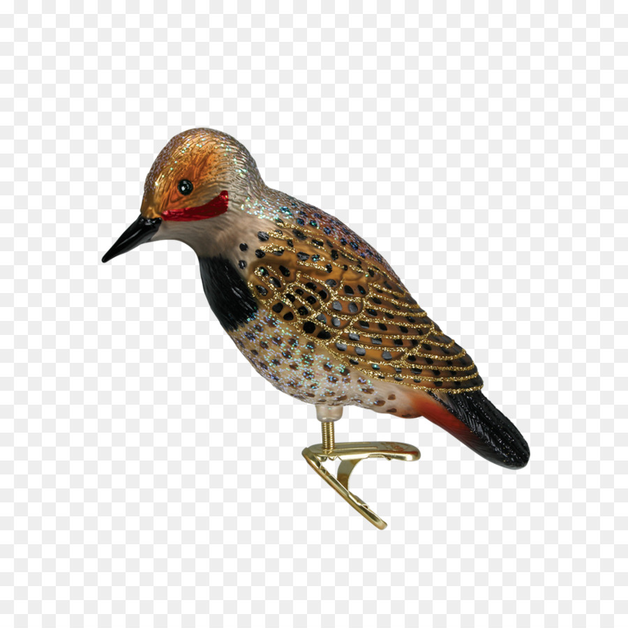 Pájaro Carpintero，Plumas PNG