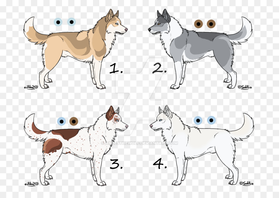 Raza De Perro，Shikoku Perro PNG