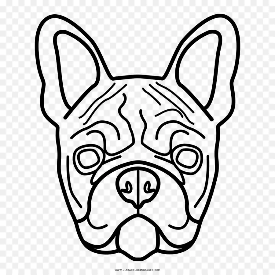 Perro，Rostro PNG