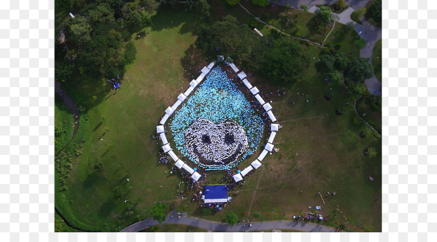 Singapur，Día Mundial Del Agua PNG