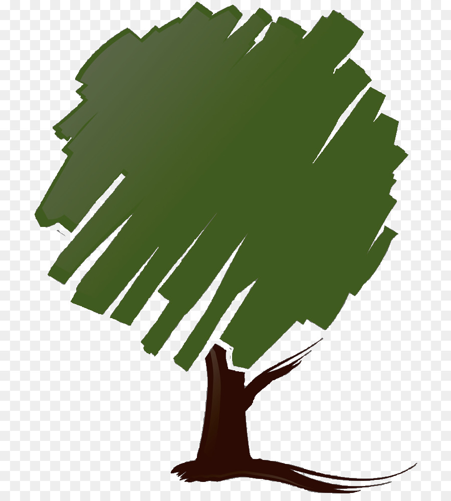 Palmera，Hojas PNG