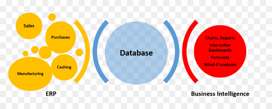Inteligencia De Negocios，De Planificación De Recursos Empresariales PNG