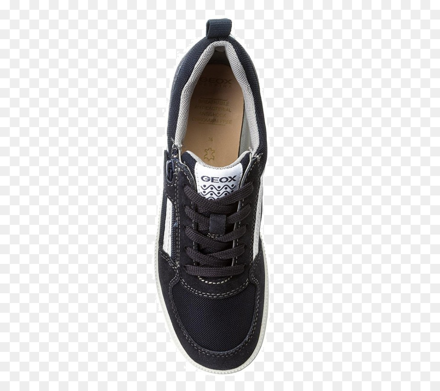 Zapatillas De Deporte，Zapato PNG