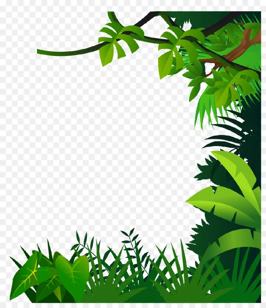 Dibujo，De La Selva PNG