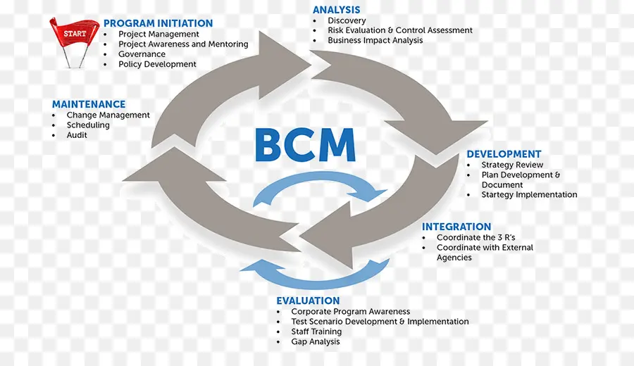 Diagrama Bcm，Negocio PNG