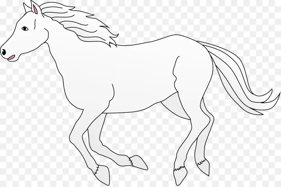 Caballo，Galope Y Galope PNG