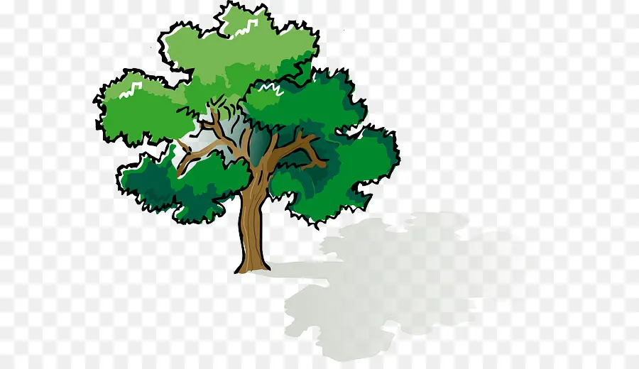 árbol，árbol De Sombra PNG