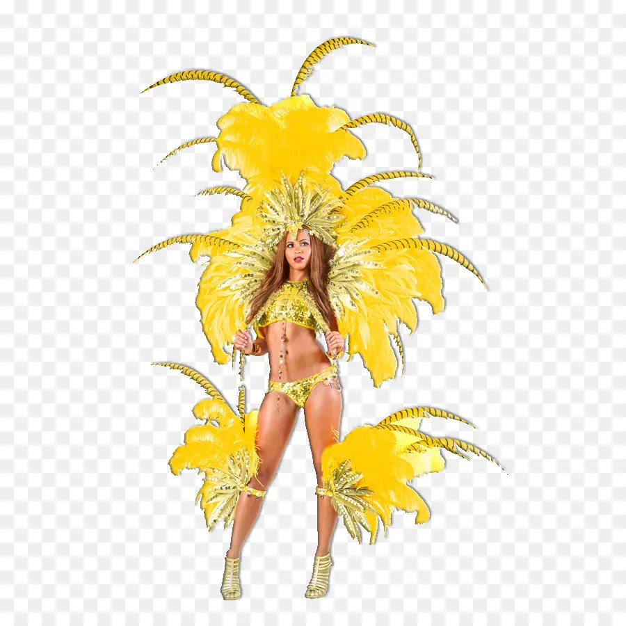 Disfraz De Carnaval，Plumas PNG