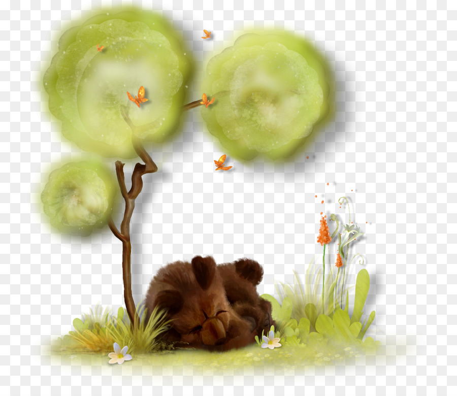 Oso，Árbol PNG