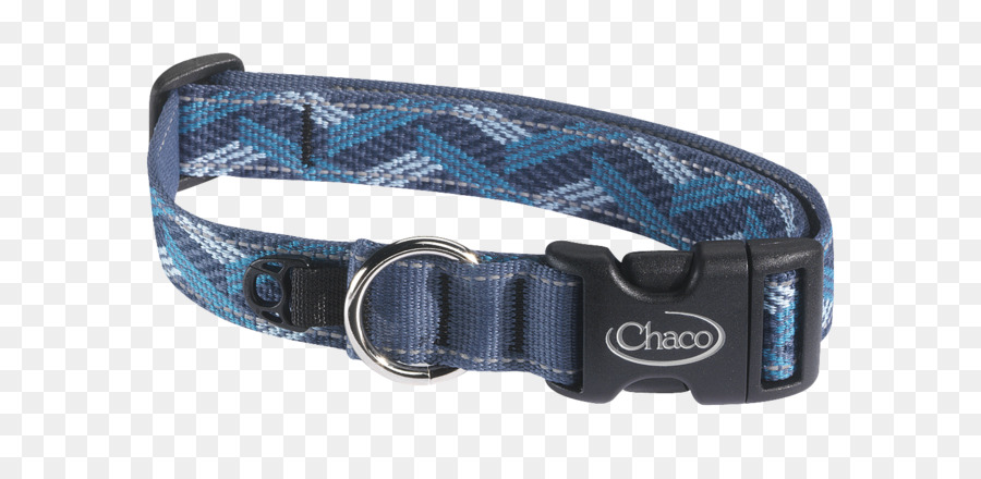 Perro，Collar De Perro PNG