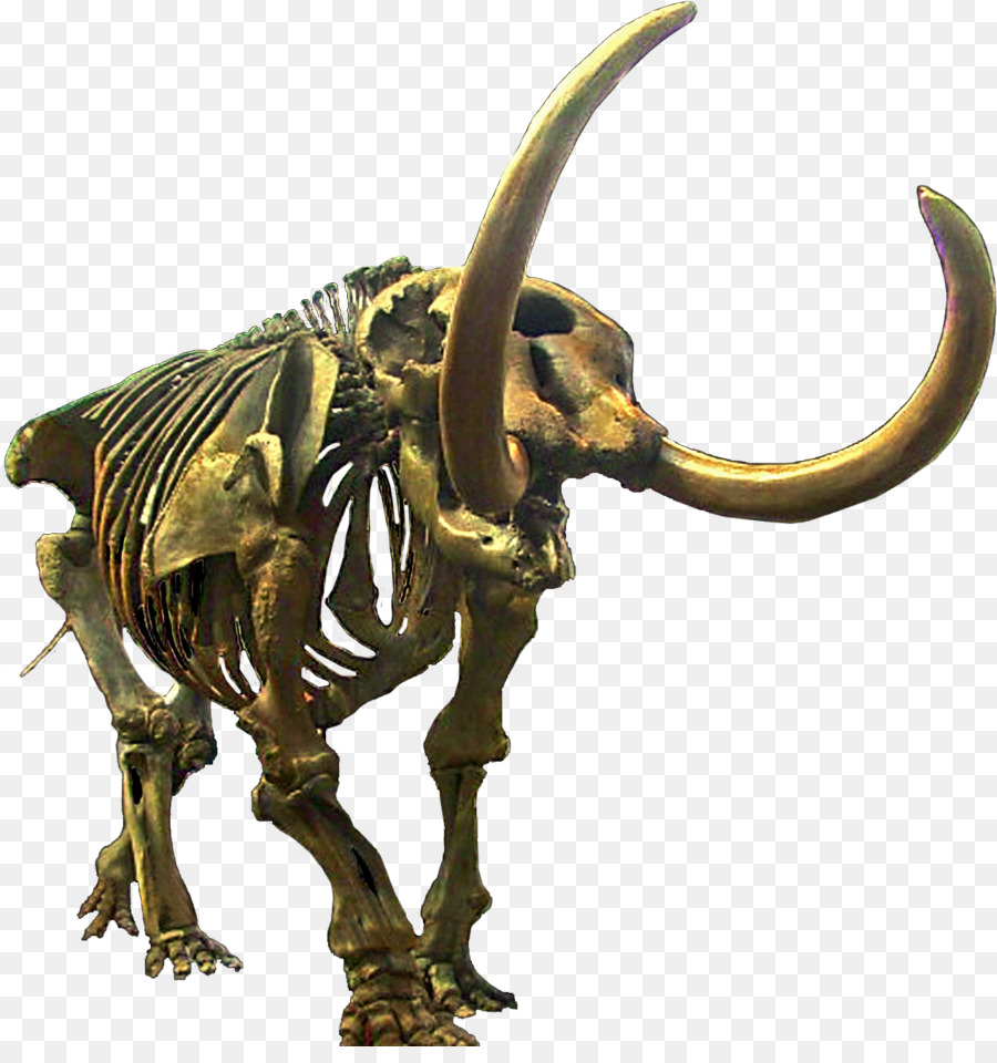 American Mastodonte，Mamut PNG