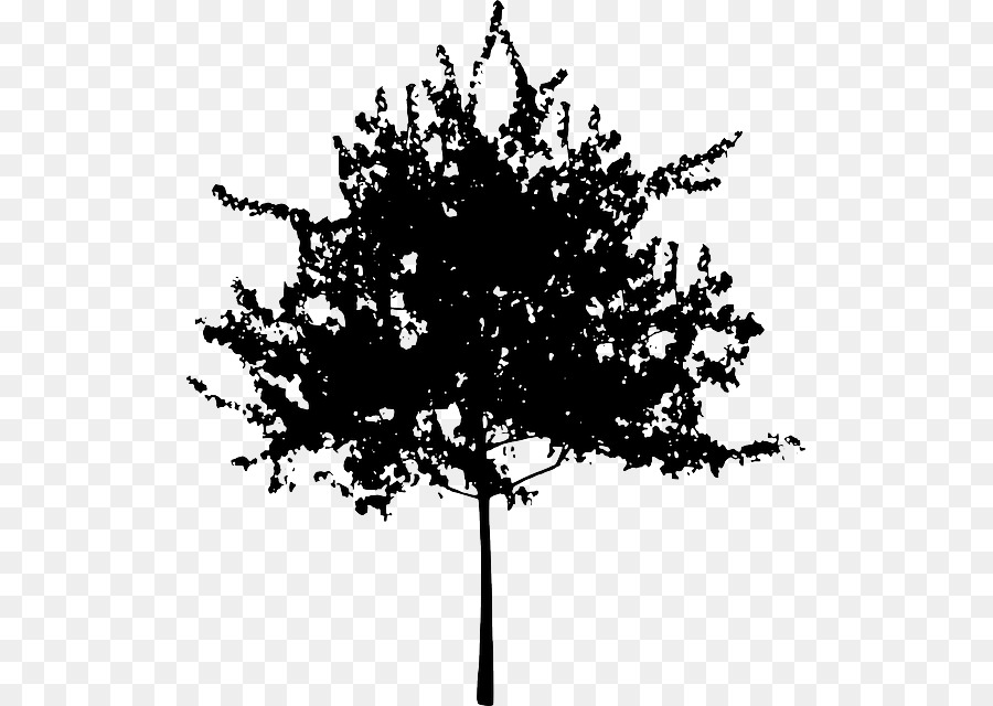 árbol，Silueta PNG