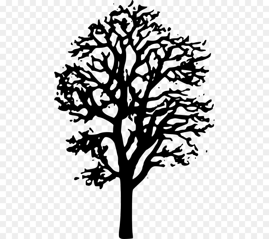 Arce Japonés，árbol PNG