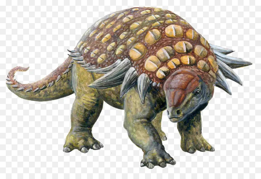 Edmontonia，Sauropelta PNG