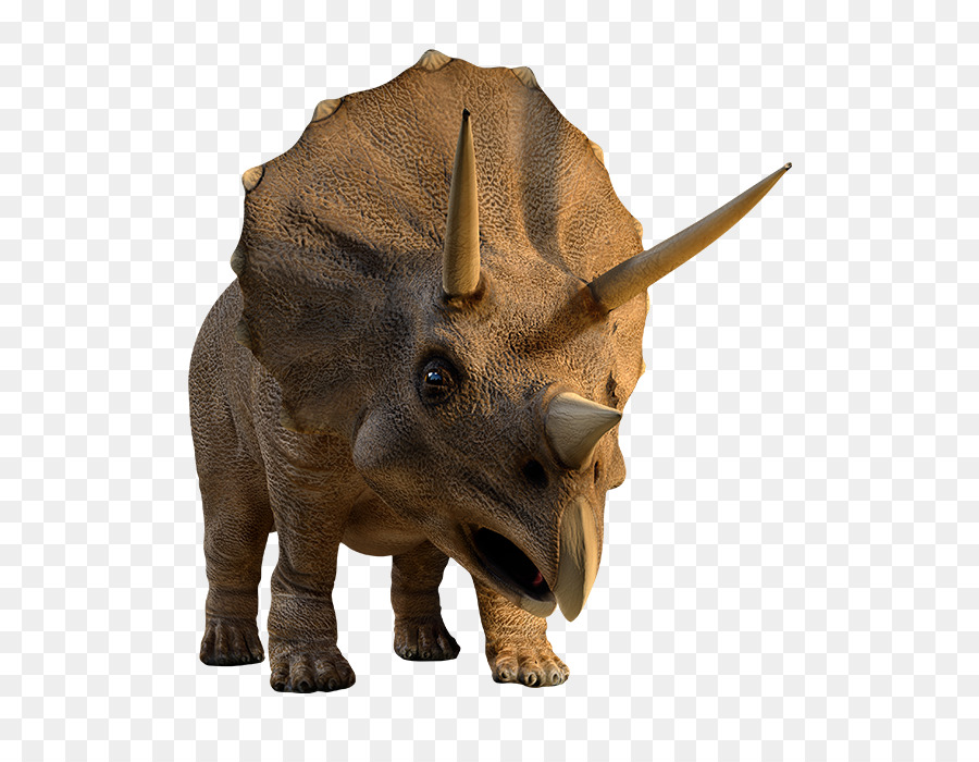 Tyrannosaurus，Eotriceratops PNG