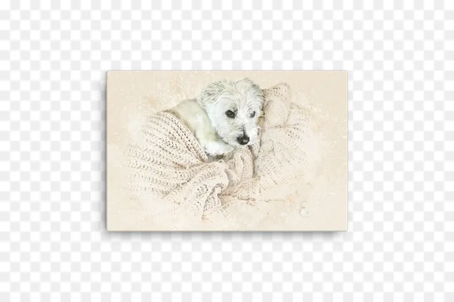 Perro，Blanco PNG