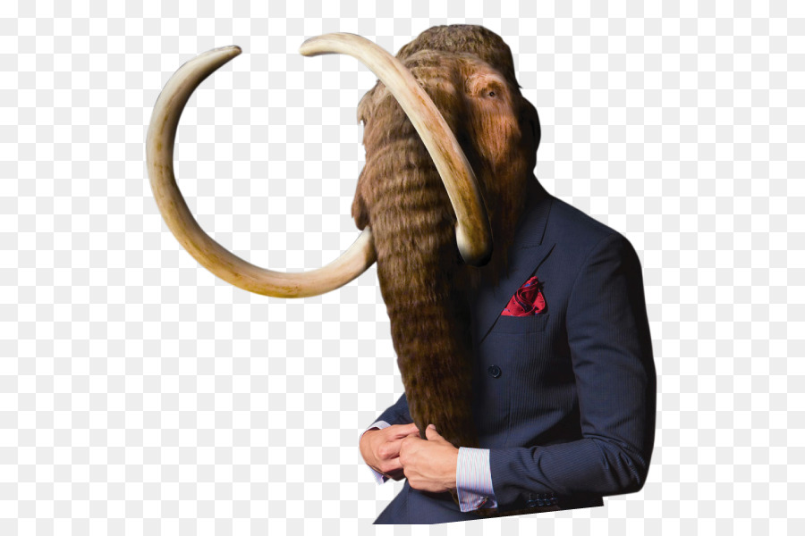 Mamut Lanudo，Elefante Indio PNG