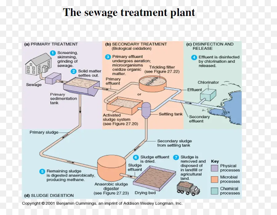 Planta De Tratamiento De Aguas Residuales，Agua PNG