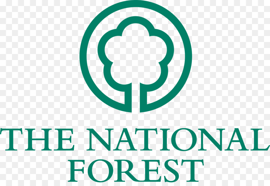 El Bosque Nacional，Moira PNG