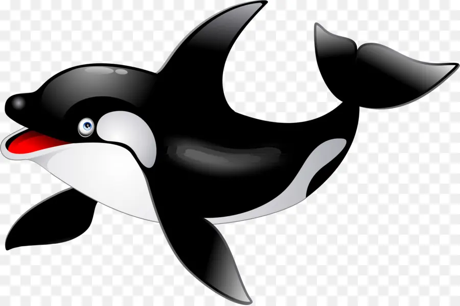 Orca，Ballena PNG