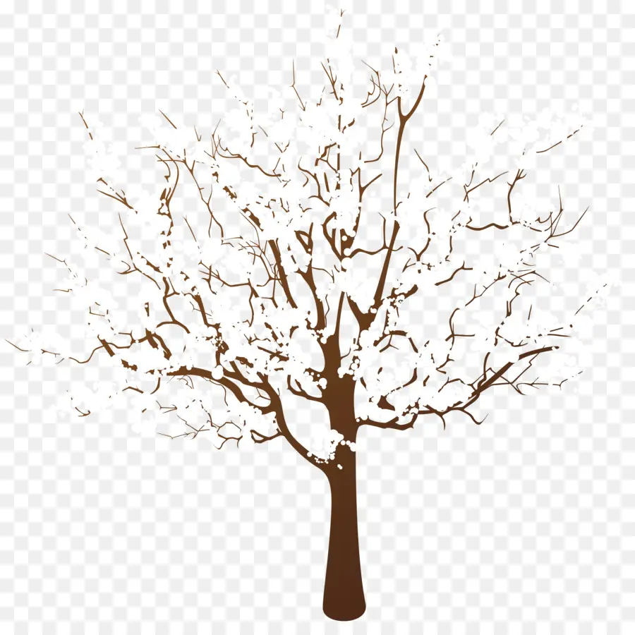 Árbol，Sucursales PNG