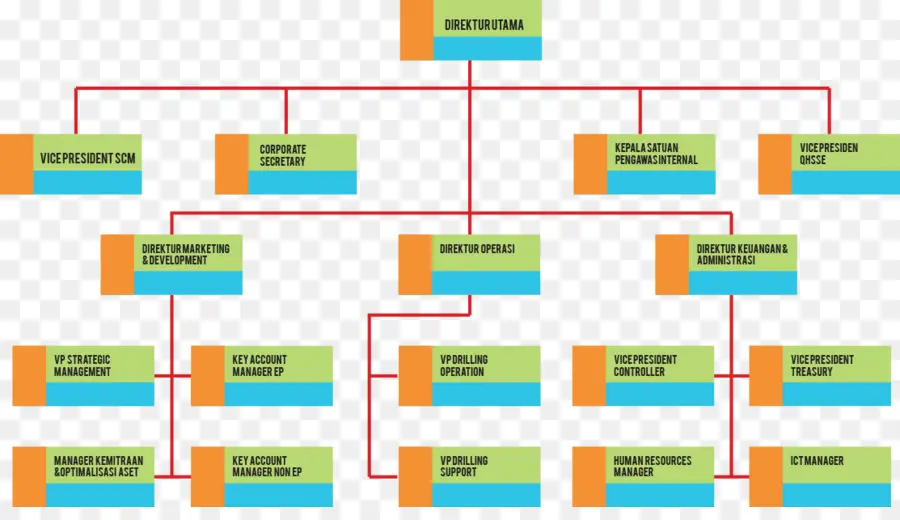 Pertamina，Organización PNG