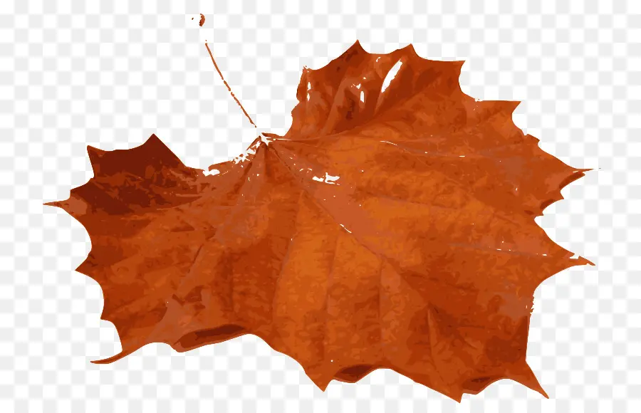 Hoja De Otoño，Caer PNG