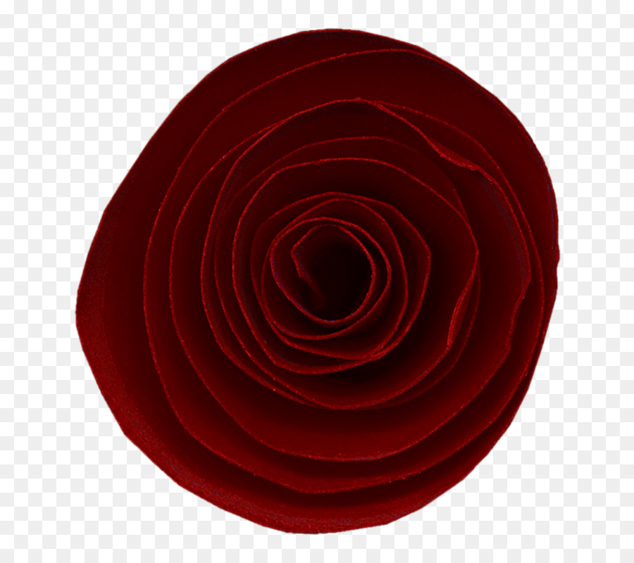 Rosa Roja，Florecer PNG